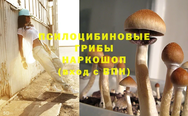 спайс Балахна